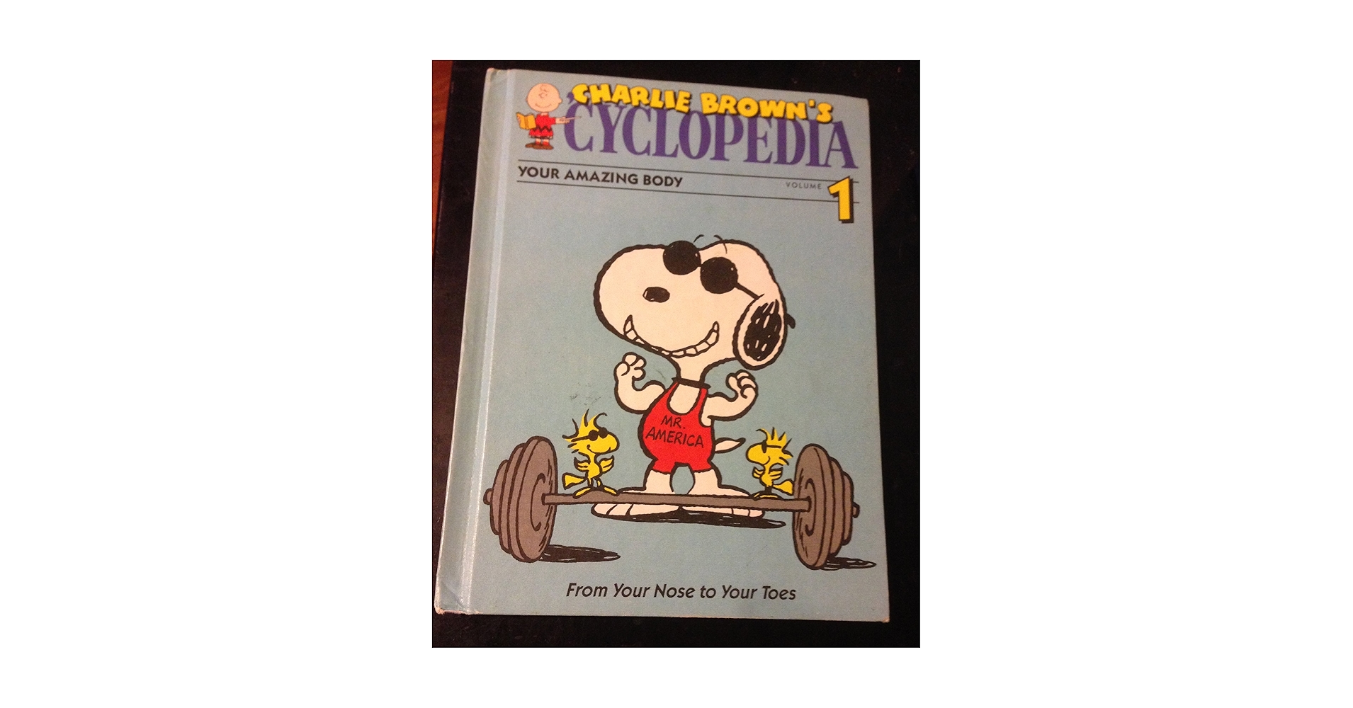 チャーリーブラウン / CHARLIE BROWN‘S ‘CYCLOPEDIA Charlie Brown's Cyclopedia : Based on the Charles M. Schulz